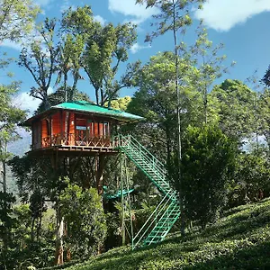 4* Resort Dream Catcher Plantation